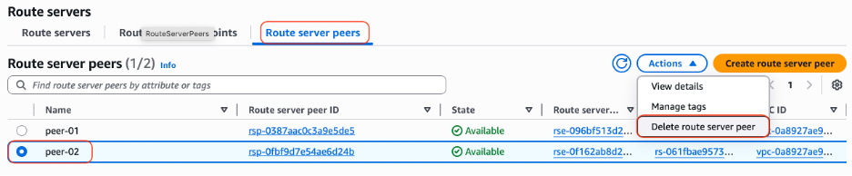 Figure 5: Route Server Console