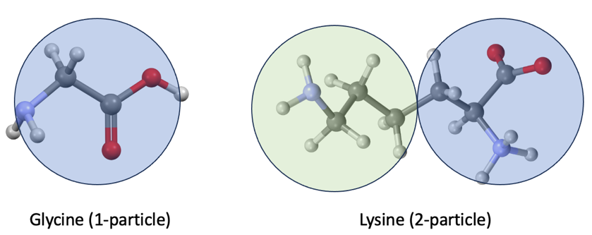 Figure 1 – Example coarse grained representation of Glycine (G) with 1-particle and Lysine (K) with 2-particles. Blue is used for the main chain, and green for the side chain.