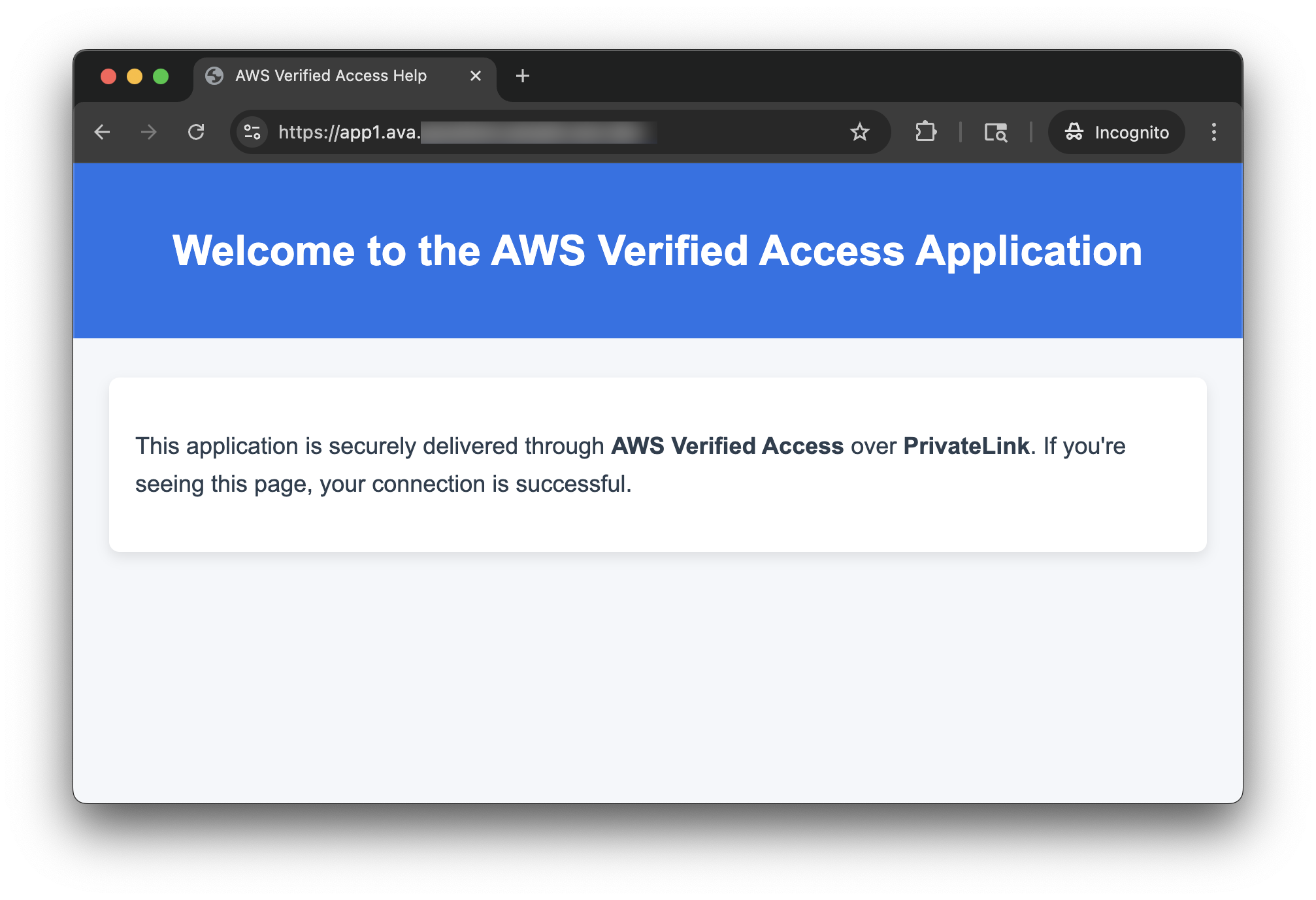 Figure 14: Welcome screen of the SaaS service delivered through Verified Access over PrivateLink