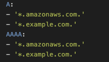A YAML configuration snippet defining allowed DNS record types for specific domains. The A record type allows *.amazonaws.com. and *.example.com., and the AAAA record type also allows *.amazonaws.com. and *.example.com.
