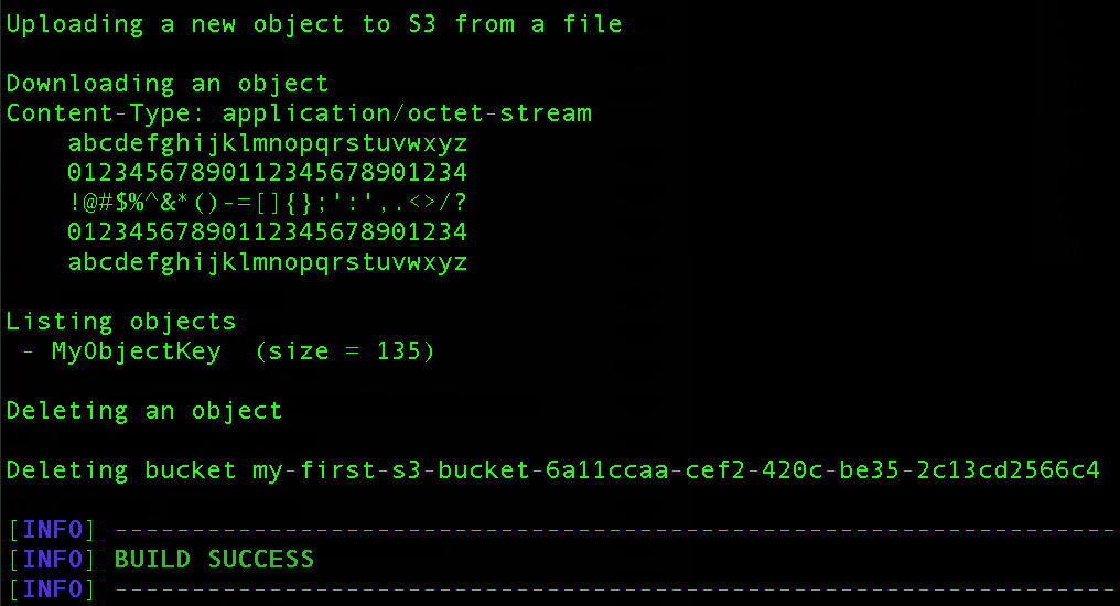 Successful application execution logs