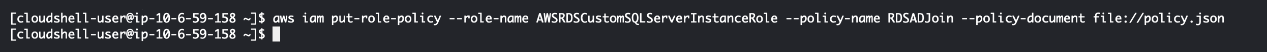 AWS CLI Output - Adding IAM Policy to Role