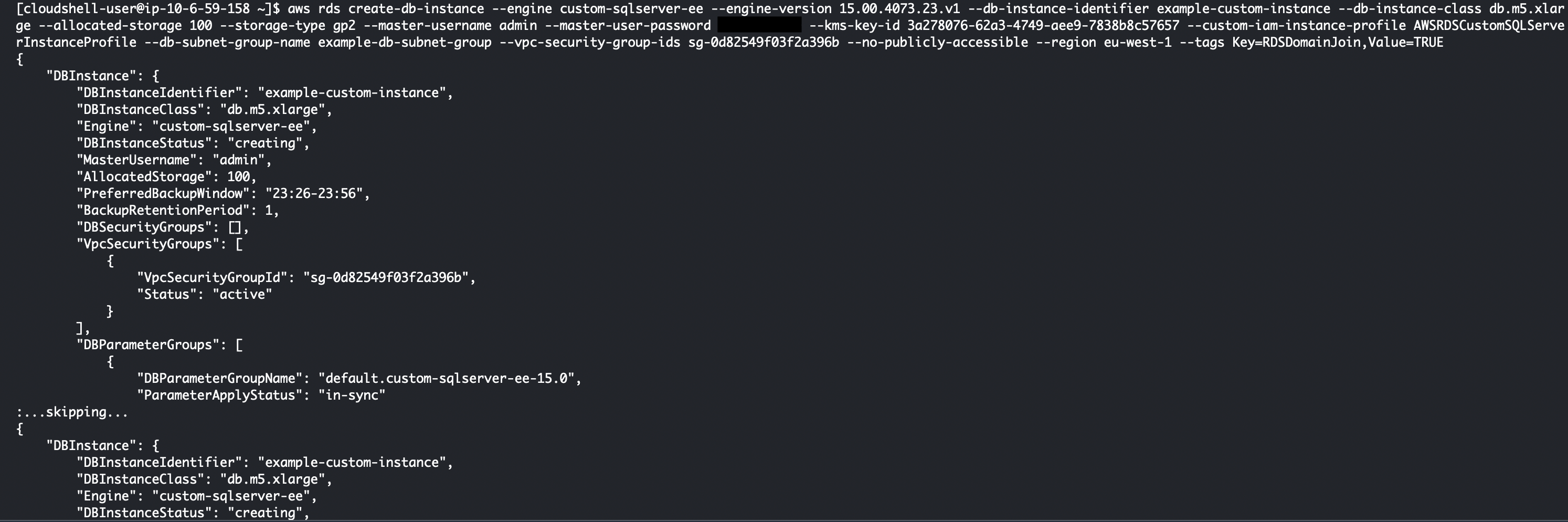 AWS CLI Output - RDS DB Instance Creation