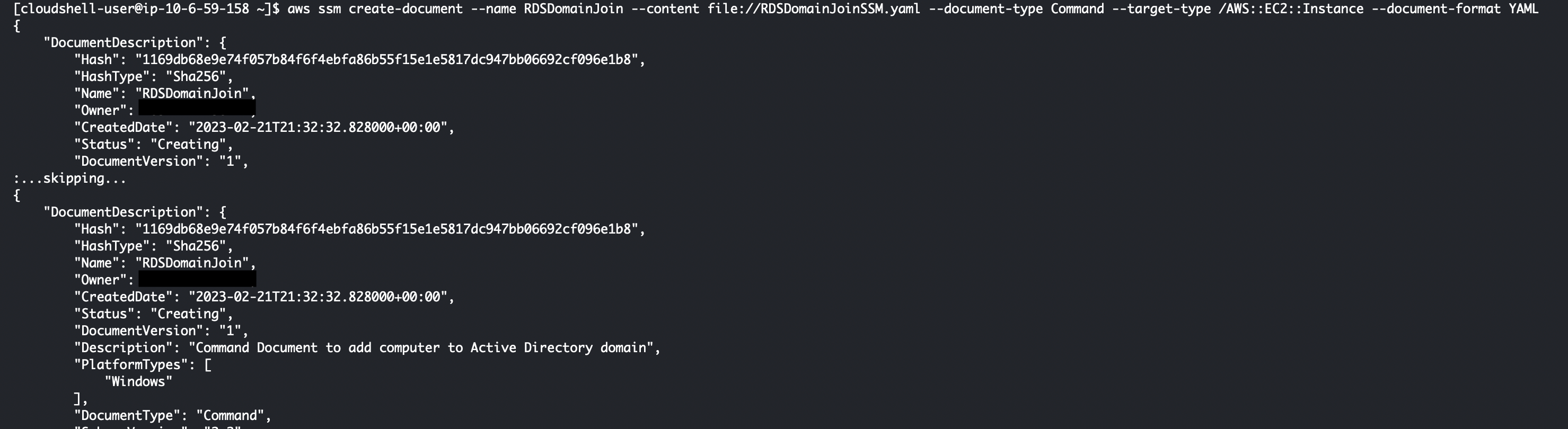 AWS CLI Output - SSM Document Creation