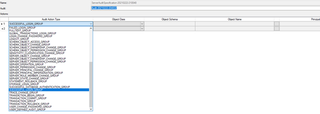 db audit spec action
