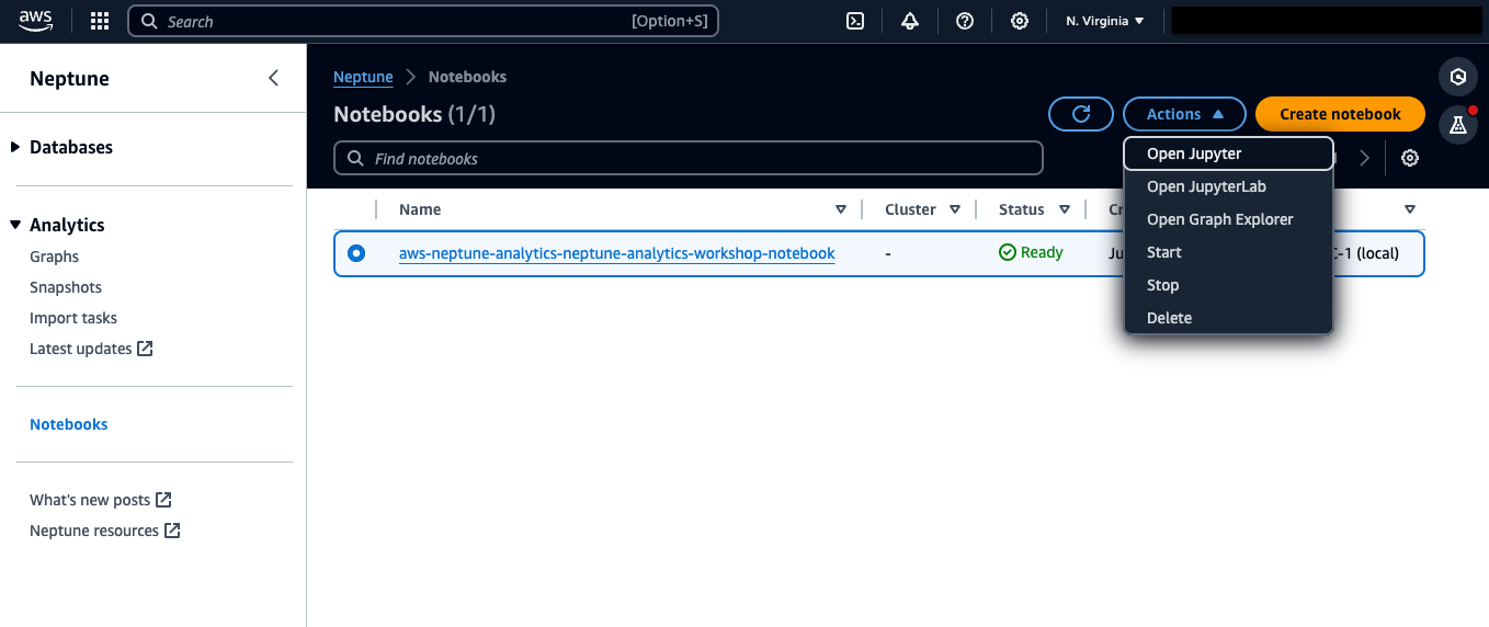 Open jupyter