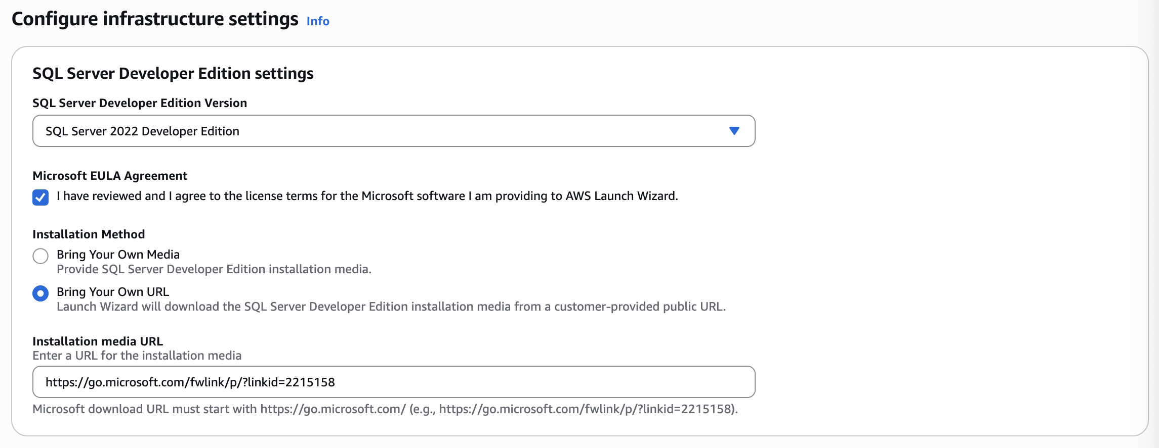 SQL Server Developer Edition Launch Wizard infrastructure settings