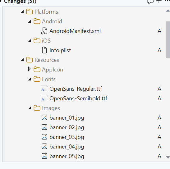 Screenshot showing Application assets and Manifest files