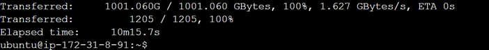 Figure 10.2. Output of the copy command showing the details about the transfer