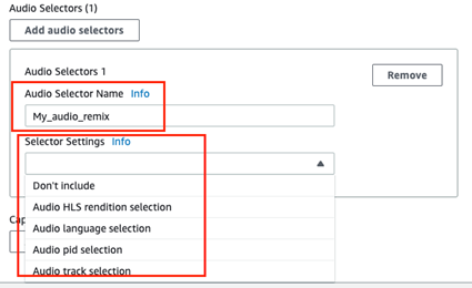 Within the audio Selectors it shows where you can find and select values for Audio Selector Name and Selector Settings. 